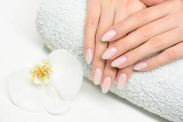 Manicure Services